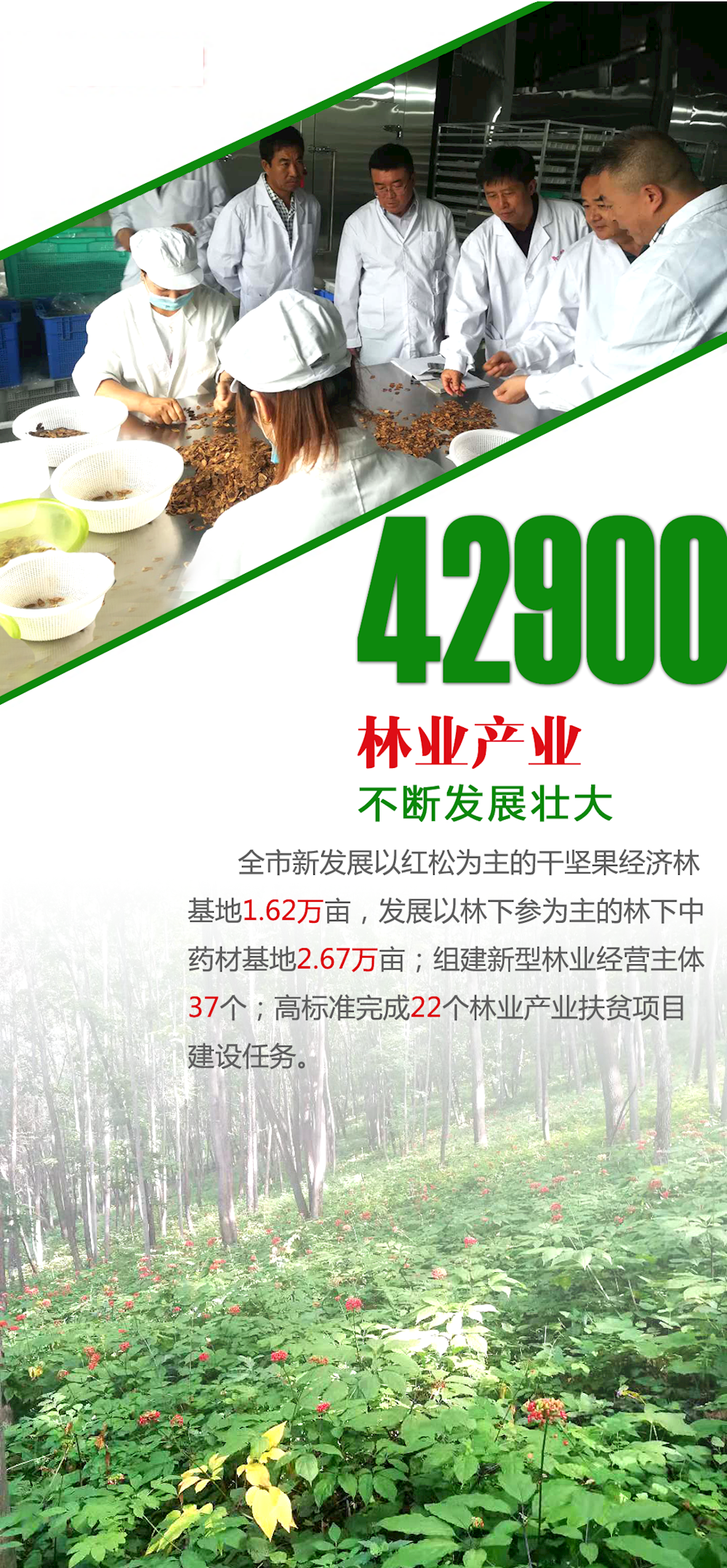 b0fdbf222e934de59a394c7f054bc646.png
